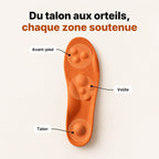 Zones soutenues de la semelle : avant-pied, voûte, talon