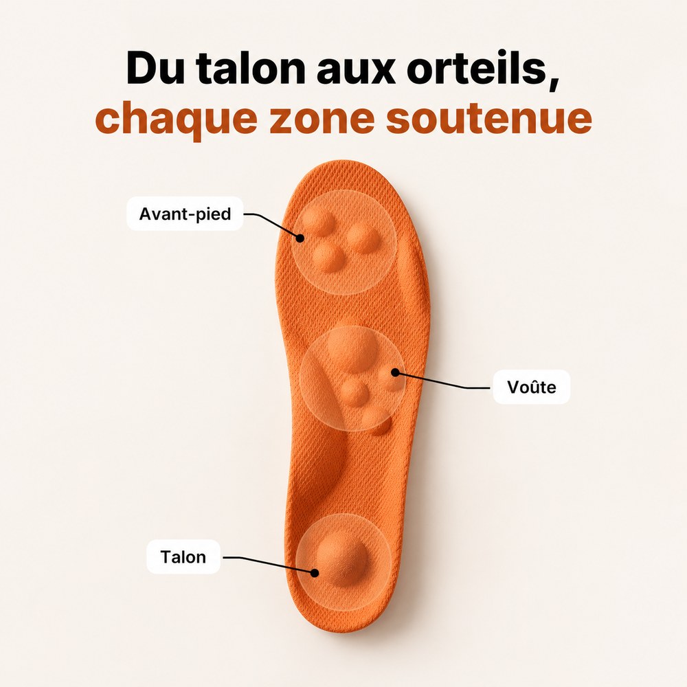 Zones soutenues de la semelle : avant-pied, voûte, talon